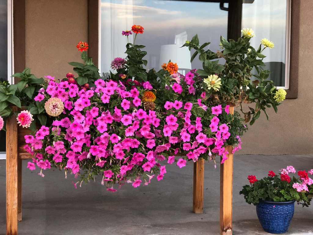 1095 E CANYON DR Big Water, UT 84741