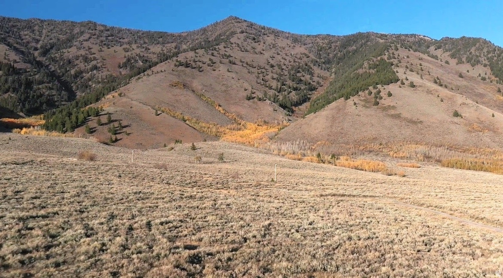 3675 OBRIEN DR Island Park, ID 83429