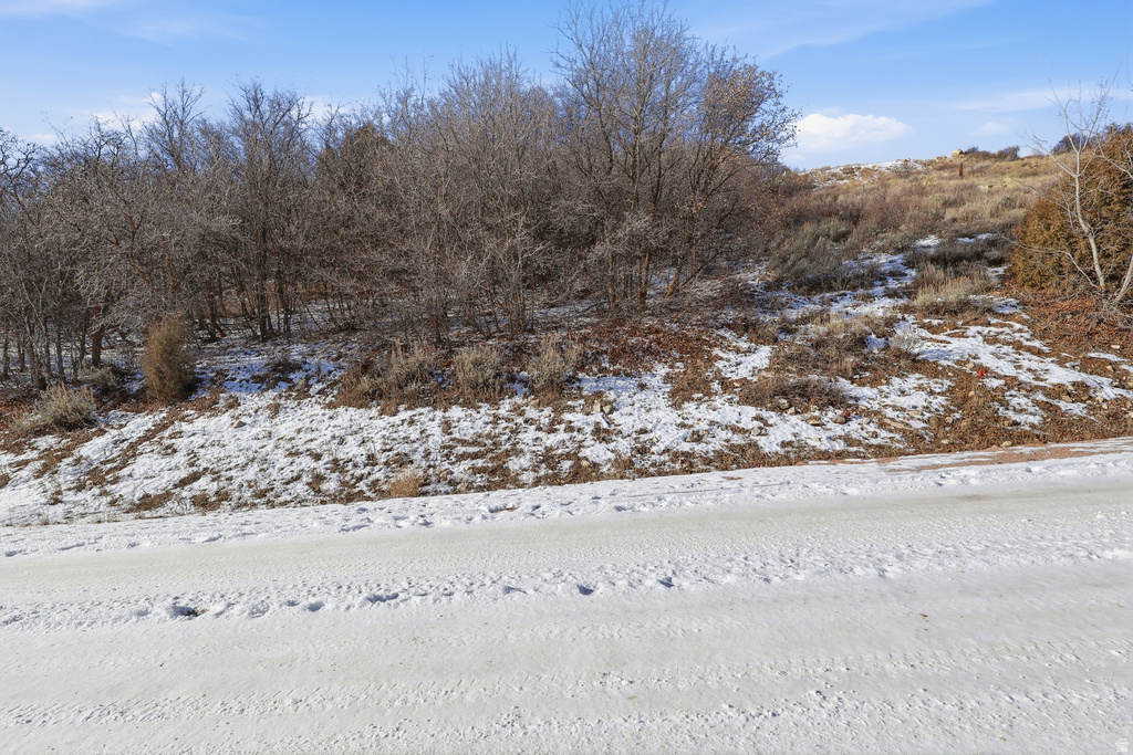 1697 N RENDEVOUS RUN Garden City, UT 84028