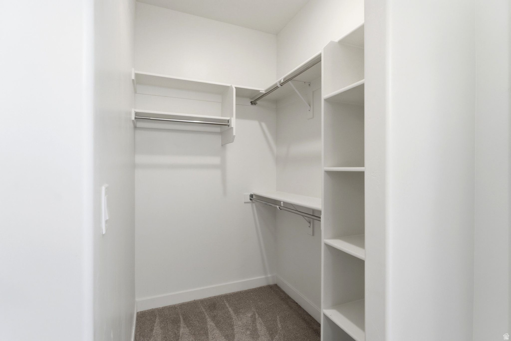 511 S 1040 W #363 American Fork, UT 84003