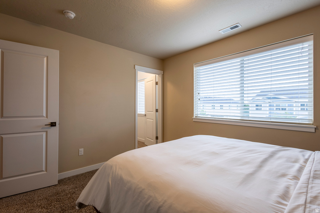 1107 W COYOTE GULCH WAY Bluffdale, UT 84065