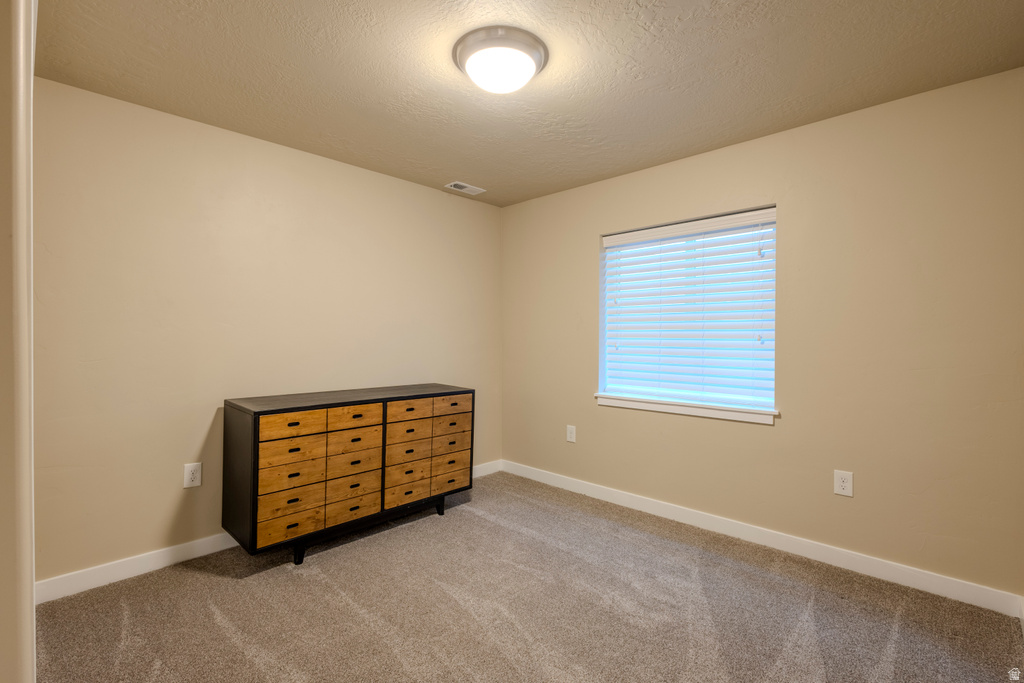 1107 W COYOTE GULCH WAY Bluffdale, UT 84065