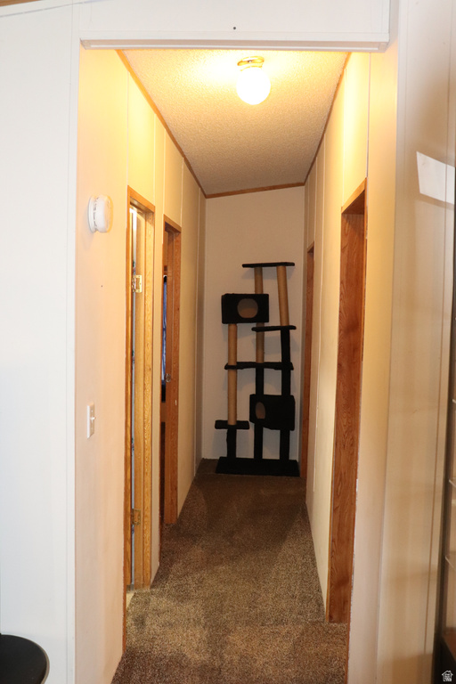 535 E 600 N Vernal, UT 84078