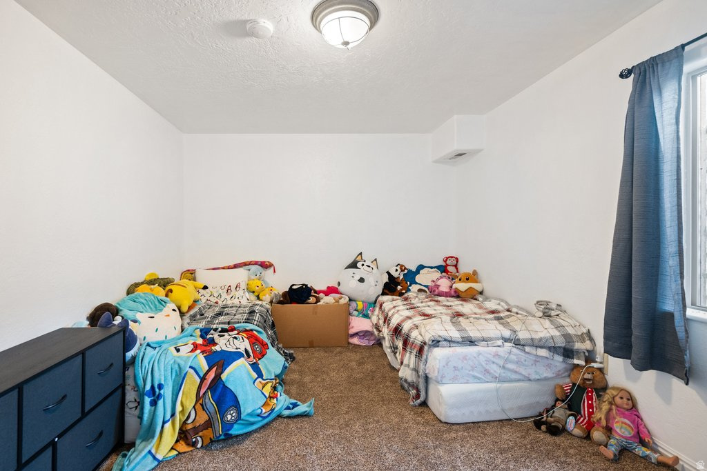 5021 W 12400 S Payson, UT 84651