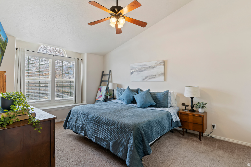 3303 N 300 W Pleasant View, UT 84414