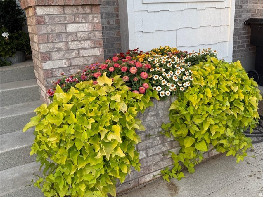 4496 COTTONWOOD DR Pleasant View, UT 84414