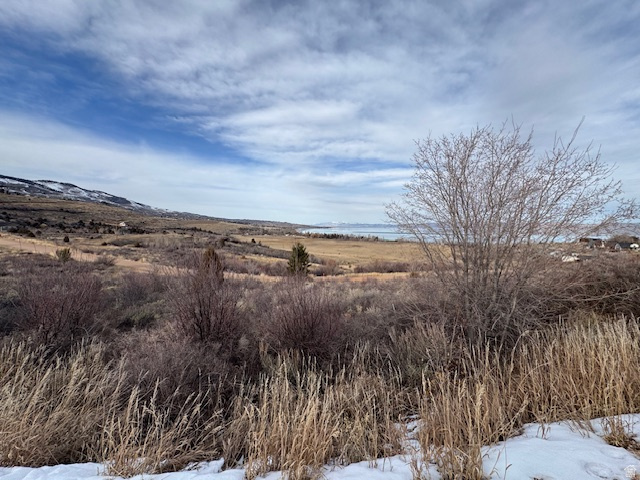 739 W SNOWBERRY CT Garden City, UT 84028