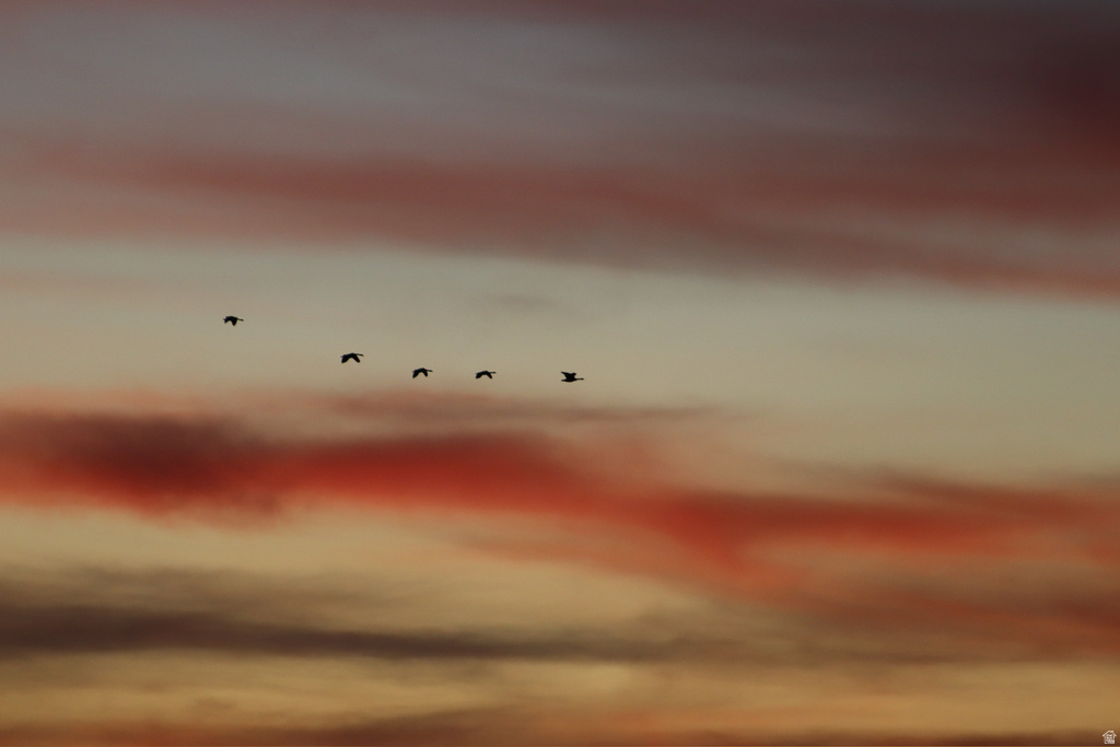 113 N 4950 W West Point, UT 84015