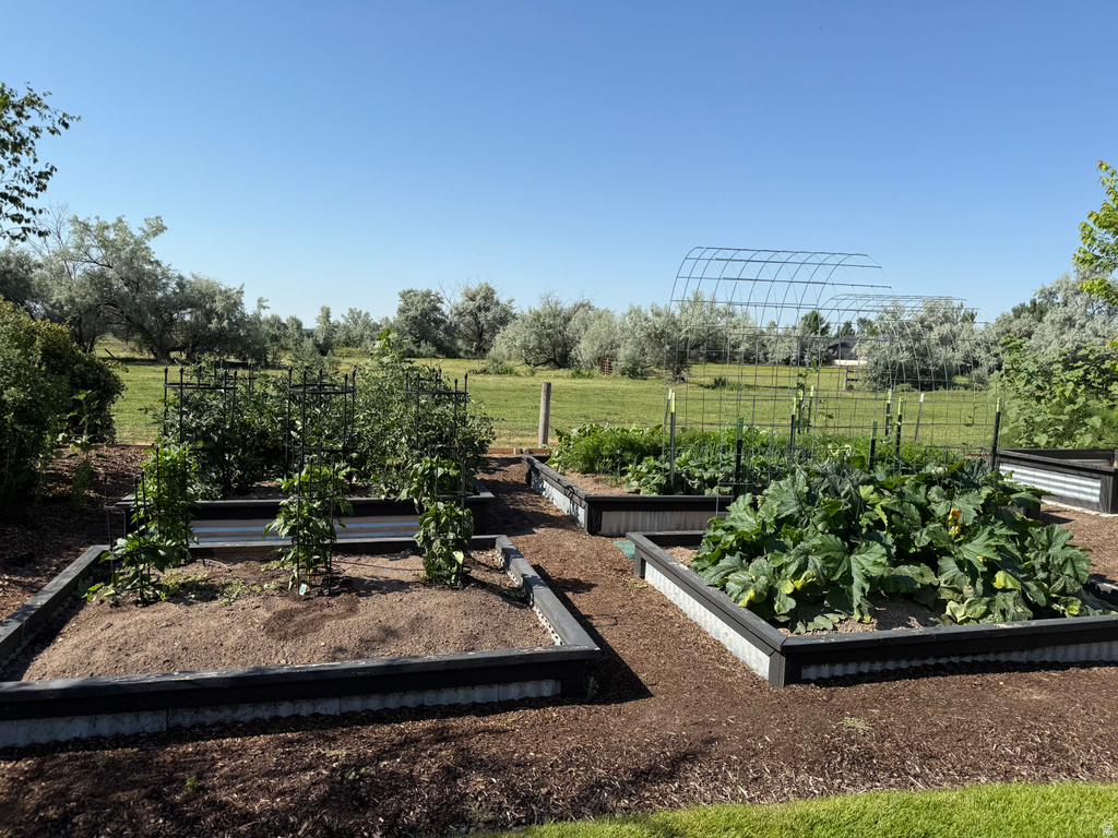 3317 W 2450 N Plain City, UT 84404