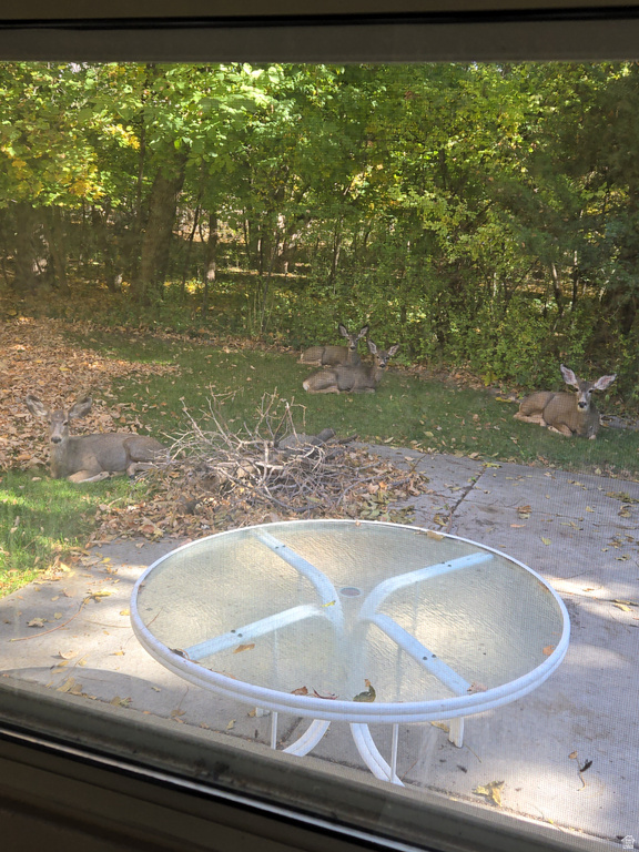 3252 N 600 W Pleasant View, UT 84414