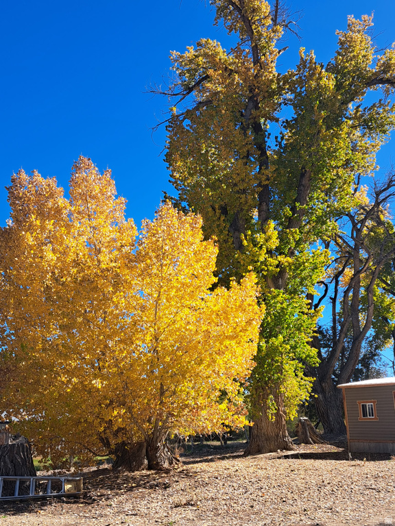 276 E 3000 S Price, UT 84501