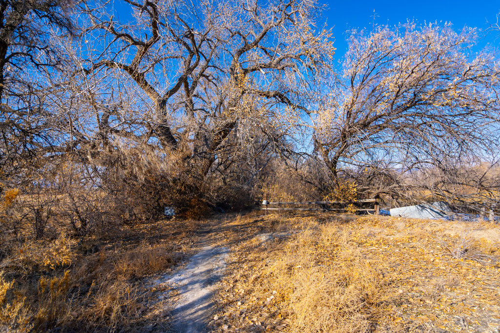 276 E 3000 S Price, UT 84501