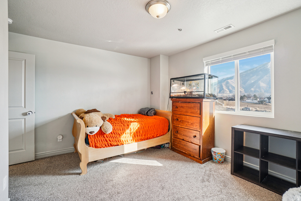 203 N 1900 W Mapleton, UT 84664