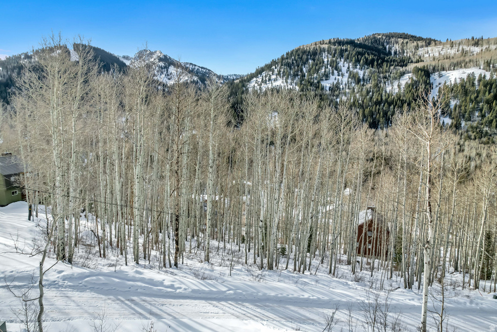 11312 E MULE HOLLOW LN Salt Lake City, UT 84121