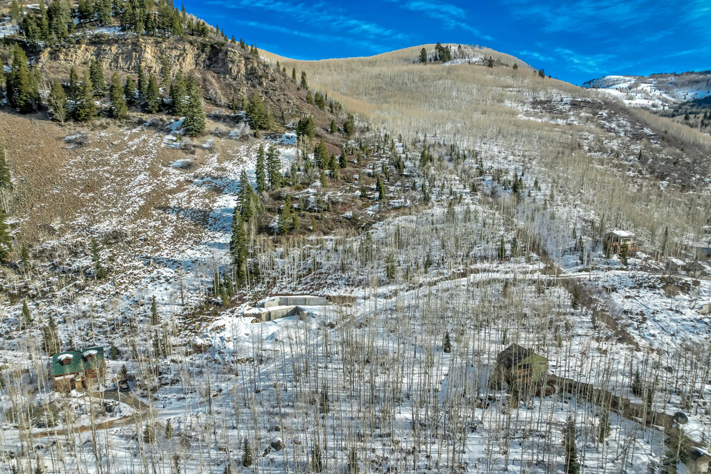 11312 E MULE HOLLOW LN Salt Lake City, UT 84121