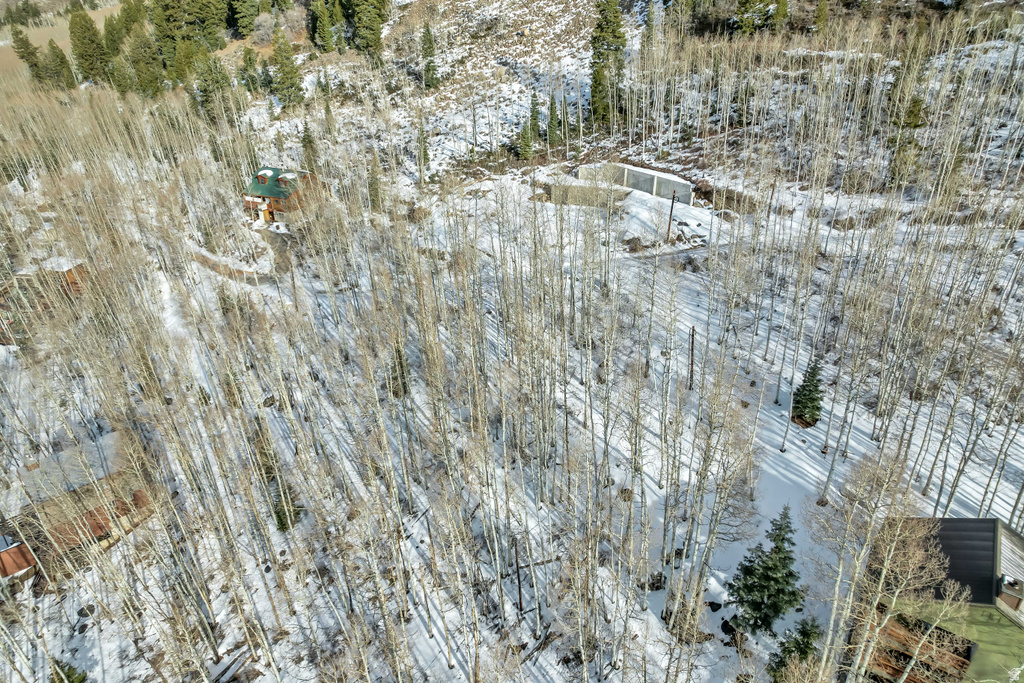 11312 E MULE HOLLOW LN Salt Lake City, UT 84121