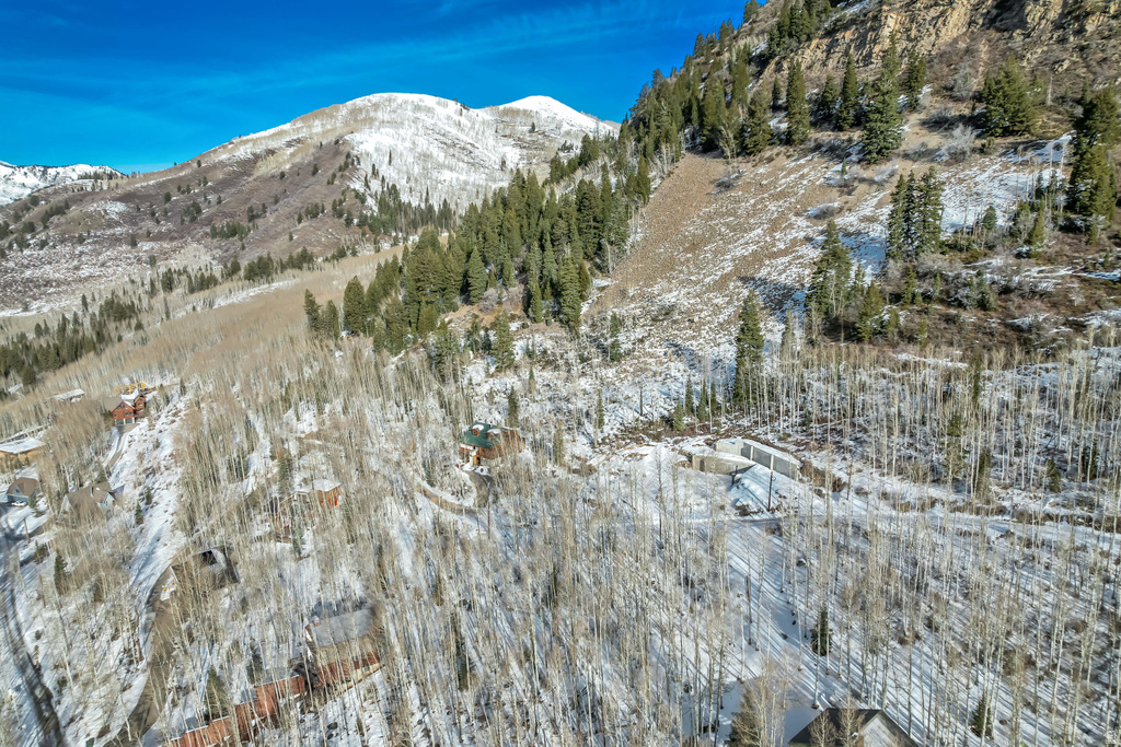 11312 E MULE HOLLOW LN Salt Lake City, UT 84121