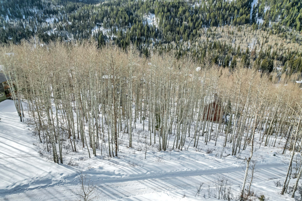 11312 E MULE HOLLOW LN Salt Lake City, UT 84121