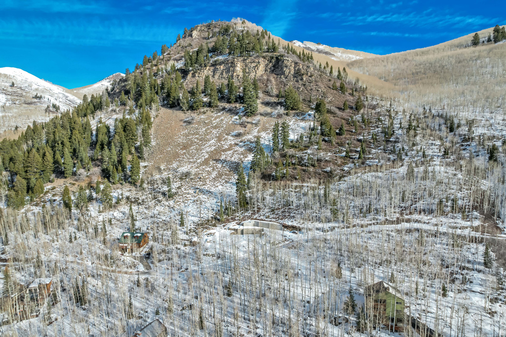 11312 E MULE HOLLOW LN Salt Lake City, UT 84121