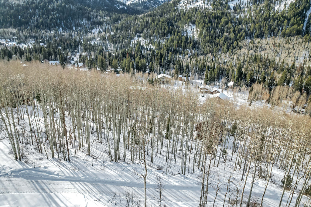 11312 E MULE HOLLOW LN Salt Lake City, UT 84121