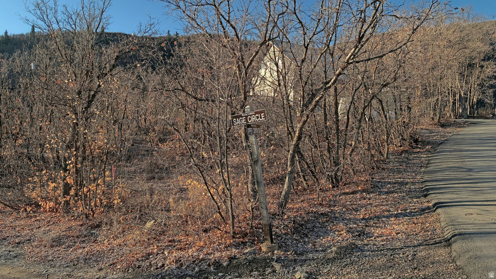 1883 W SAGE CIR Midway, UT 84049