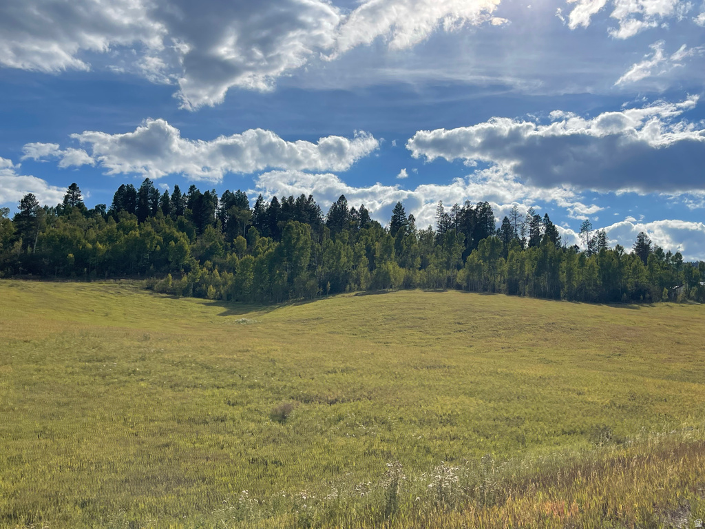 46  ELK WATCH LN Freedom, WY 83120