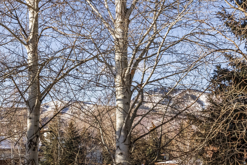 179 RACQUET DR Park City, UT 84060