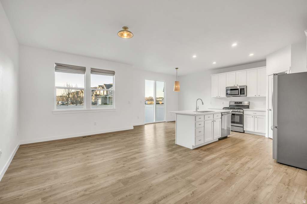 1058 S LILAC WAY Mapleton, UT 84664