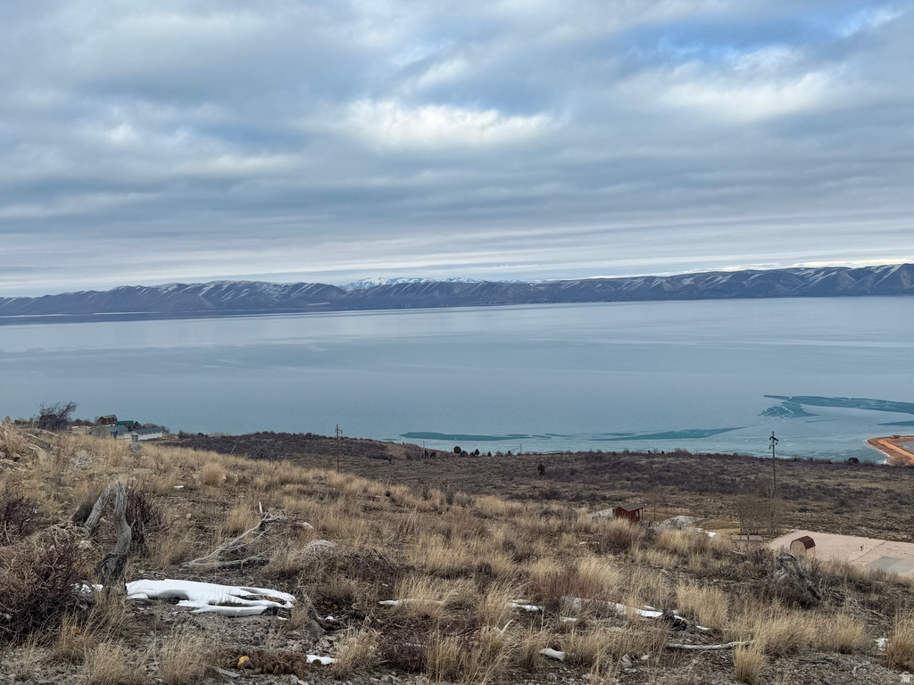 1253 S SCULPIN LOOP Garden City, UT 84028