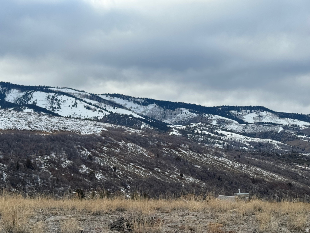 1253 S SCULPIN LOOP Garden City, UT 84028