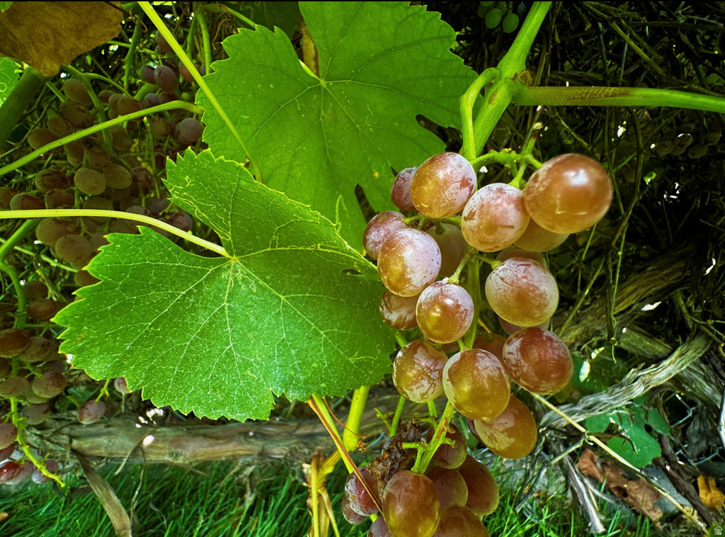 960 E SAGEHILL DR Millcreek, UT 84124