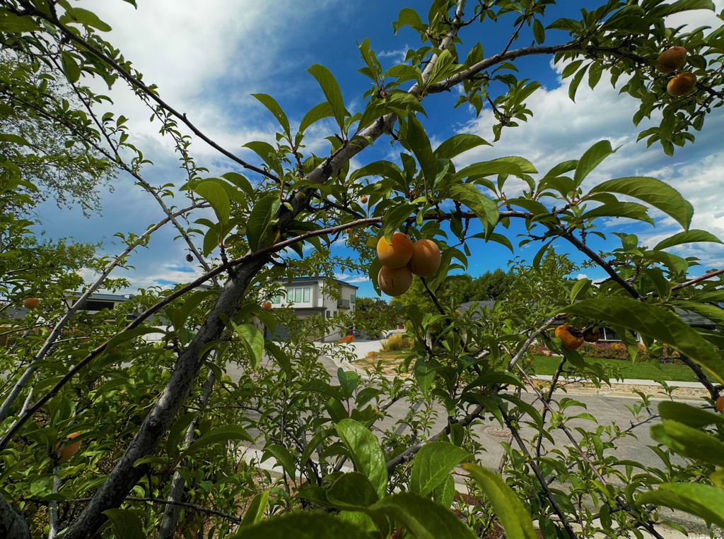 960 E SAGEHILL DR Millcreek, UT 84124