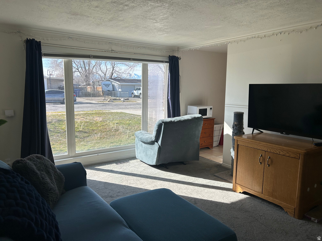 1107 E SERPENTINE WAY Sandy, UT 84094