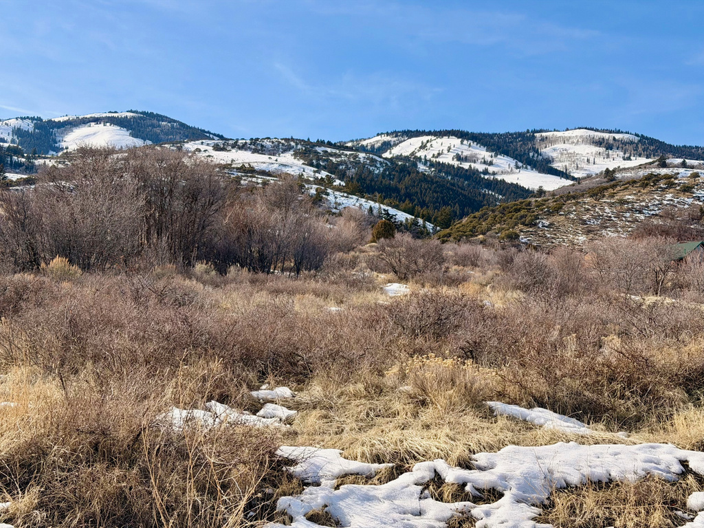 2665 N ELK HOLLOW DR Garden City, UT 84028