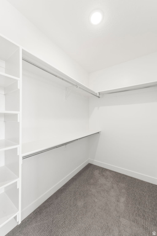 3084 E FUCHSIA DR St George, UT 84790