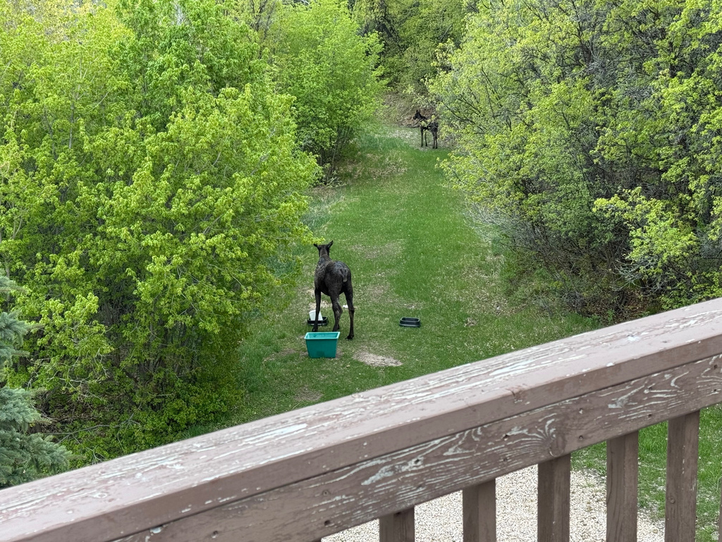 46 ALDER CT #638 Fish Haven, ID 83287