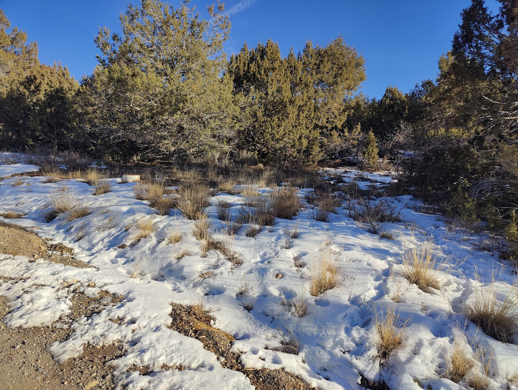 22375  CEDAR RIDGE DR Fairview, UT 84629