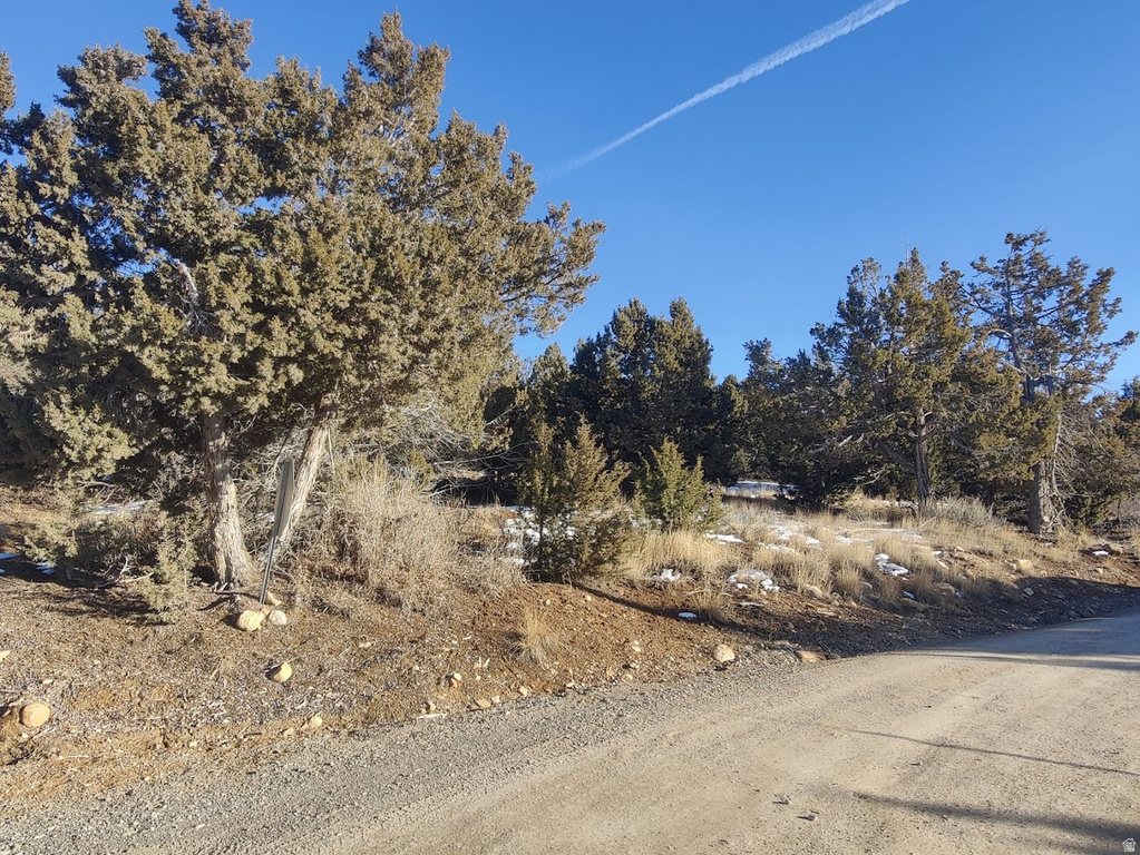 22375  CEDAR RIDGE DR Fairview, UT 84629