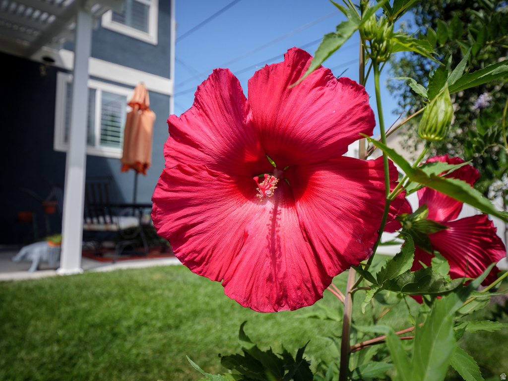 920 E QUEENSMILL LN Salt Lake City, UT 84106