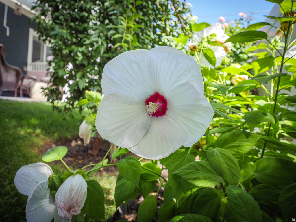 920 E QUEENSMILL LN Salt Lake City, UT 84106