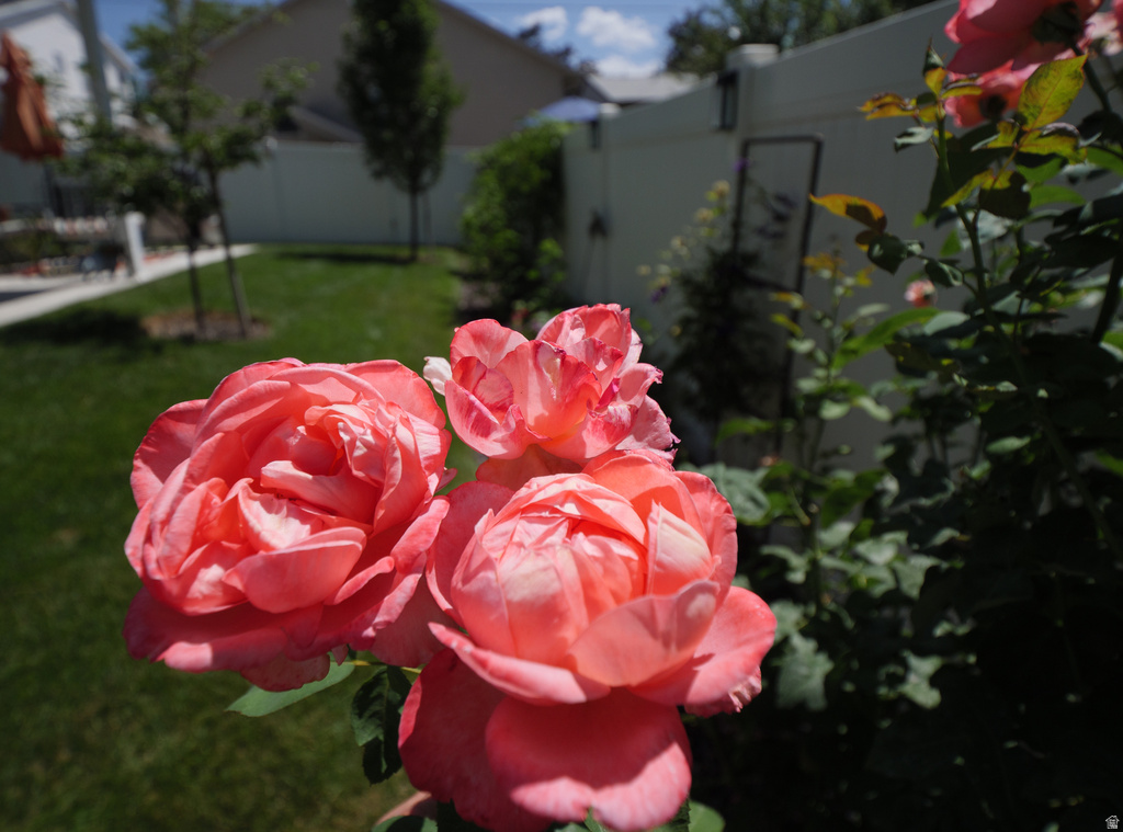 920 E QUEENSMILL LN Salt Lake City, UT 84106