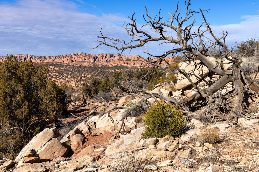 12  PRITCHETT ARCH TRL Moab, UT 84532