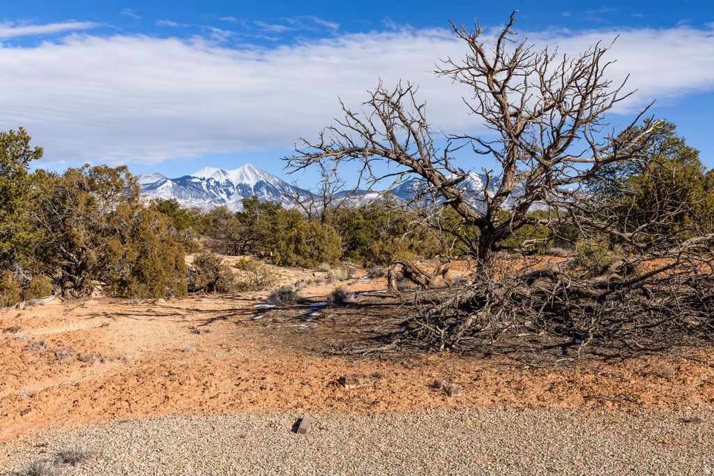 12  PRITCHETT ARCH TRL Moab, UT 84532