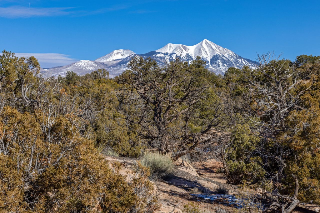 12  PRITCHETT ARCH TRL Moab, UT 84532