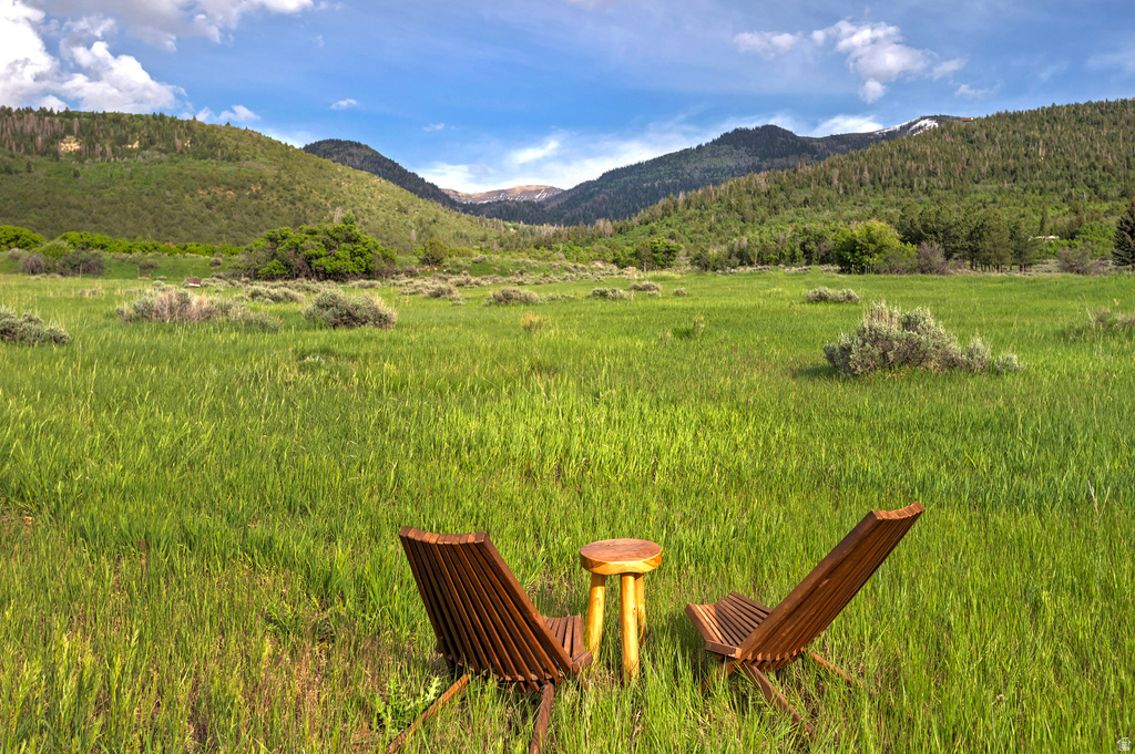 12125 E 14560 N Mt Pleasant, UT 84647