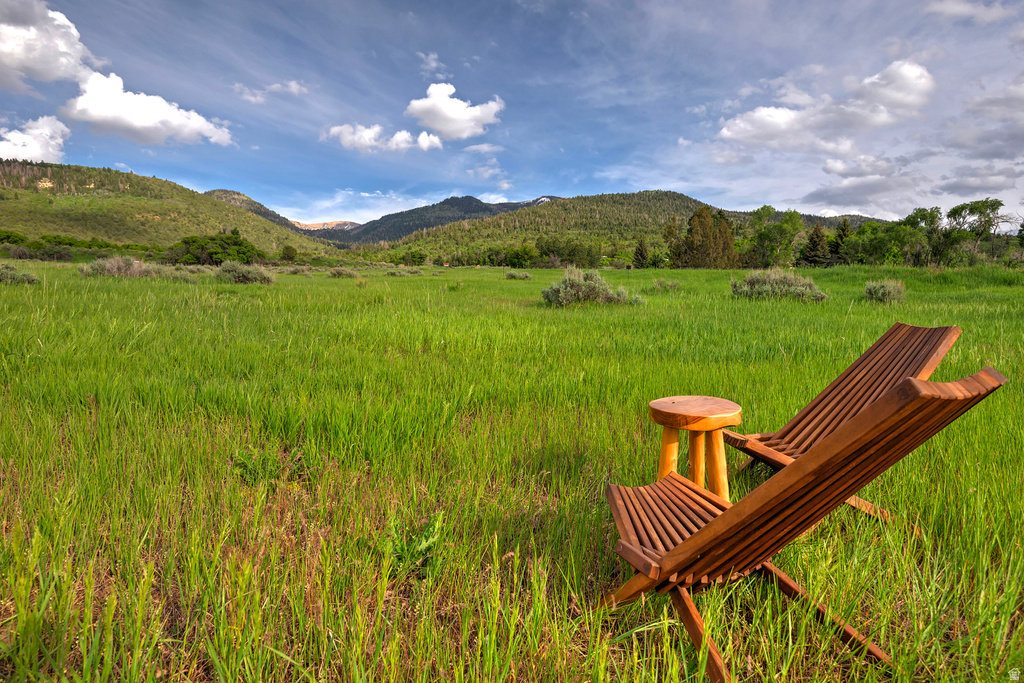 12125 E 14560 N Mt Pleasant, UT 84647