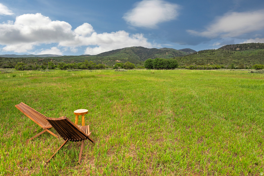 12125 E 14560 N Mt Pleasant, UT 84647