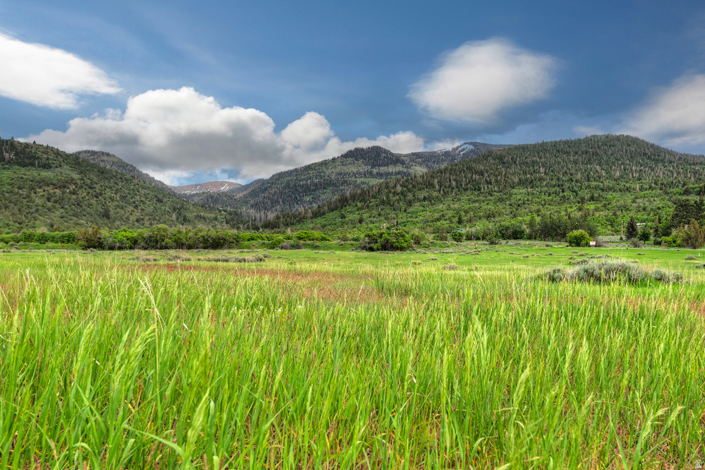 12125 E 14560 N Mt Pleasant, UT 84647