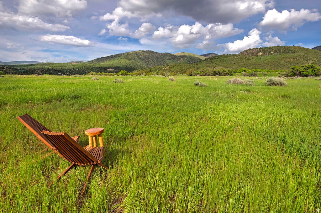 12125 E 14560 N Mt Pleasant, UT 84647