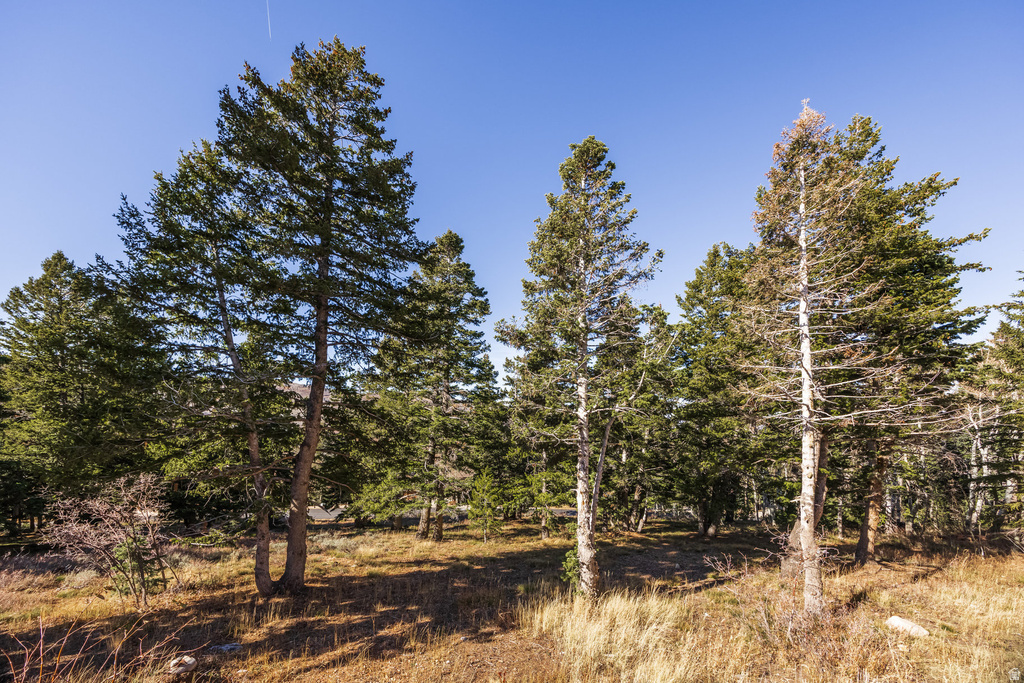 7585  STERLING DR Park City, UT 84060